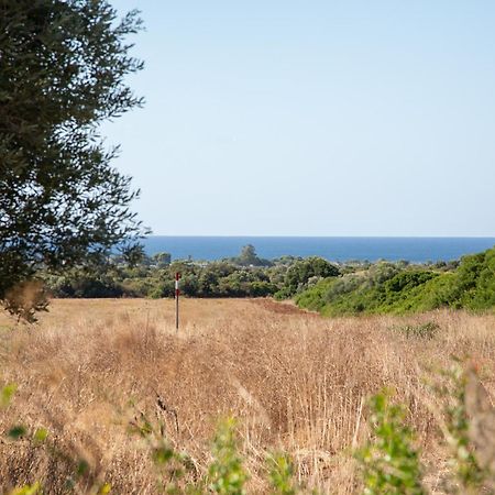 Masseria Scaledda Manduria Ngoại thất bức ảnh